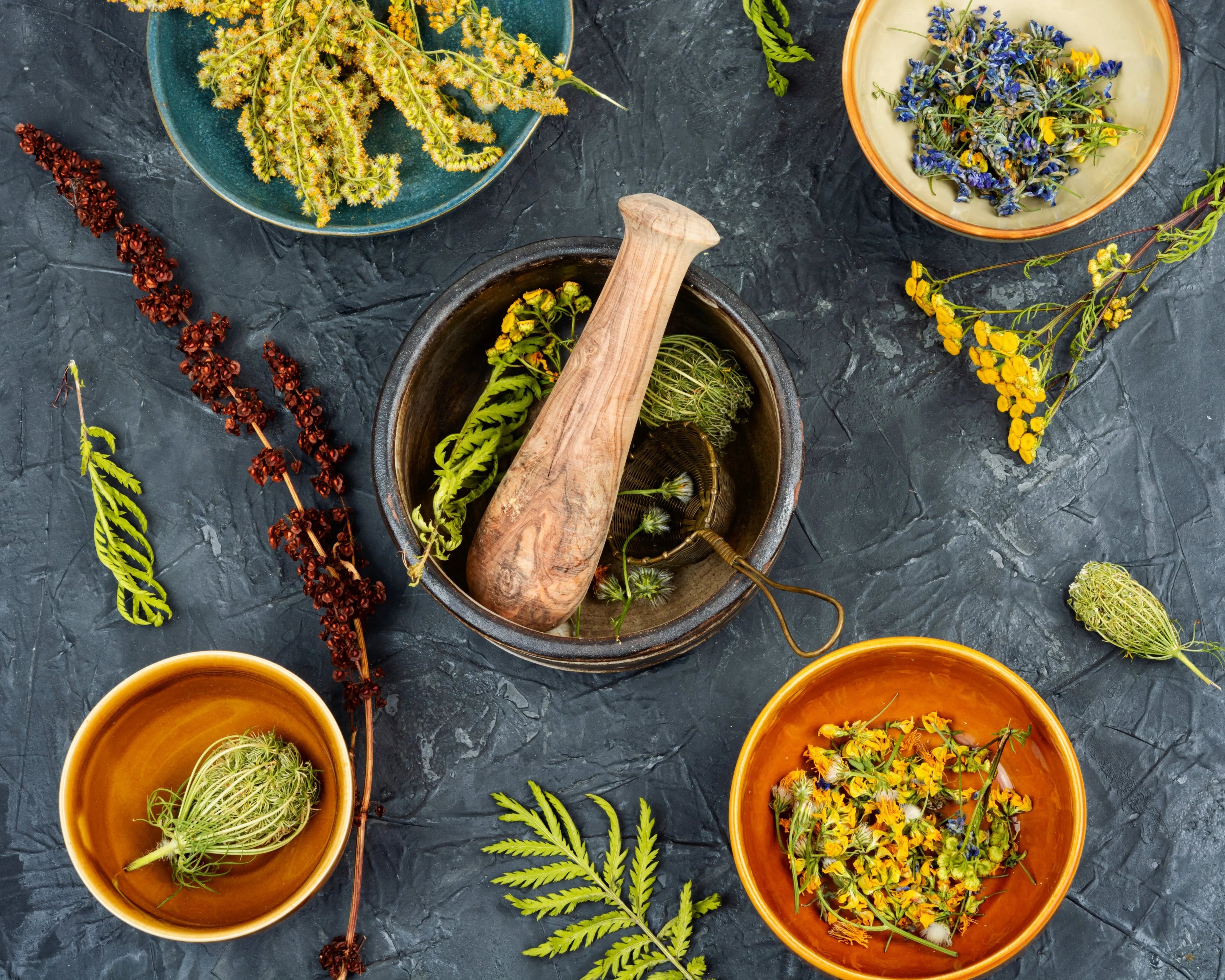 The Power of Pure & Balanced Ingredients: True Wellness