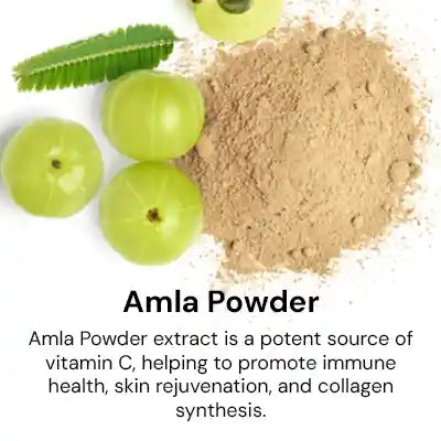 amla_powder.webp