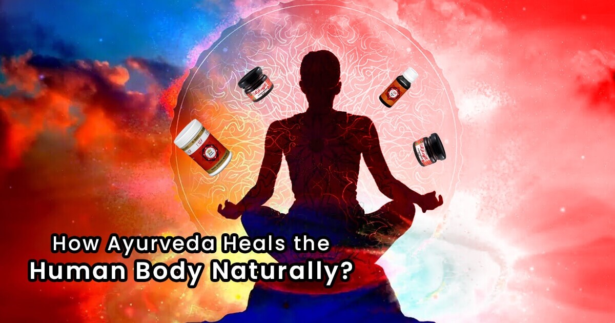 How Ayurveda Heals the Human Body Naturally? - Researched by Dr. Ajayita