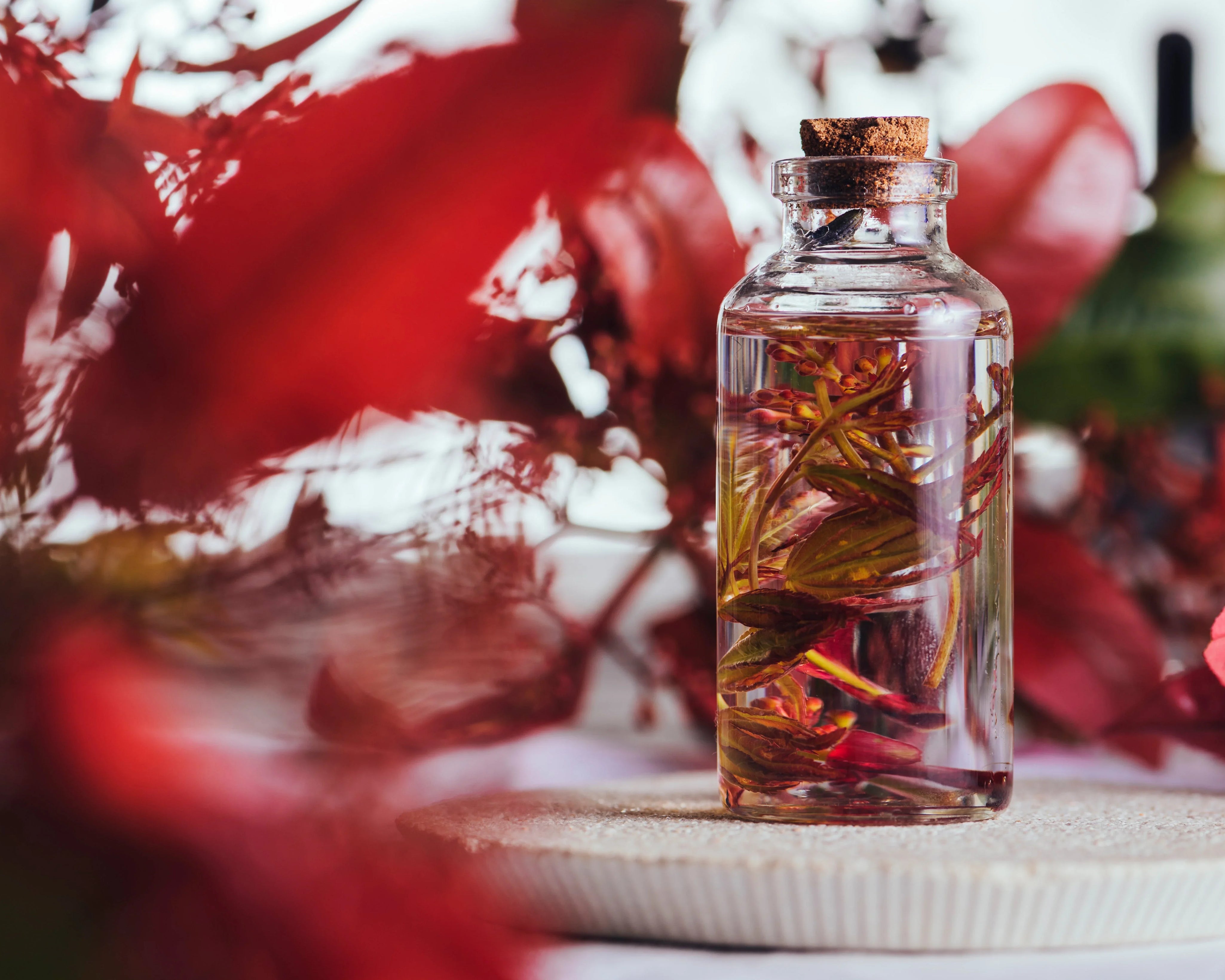 Which Penis Oil is Best for Erectile Dysfunction