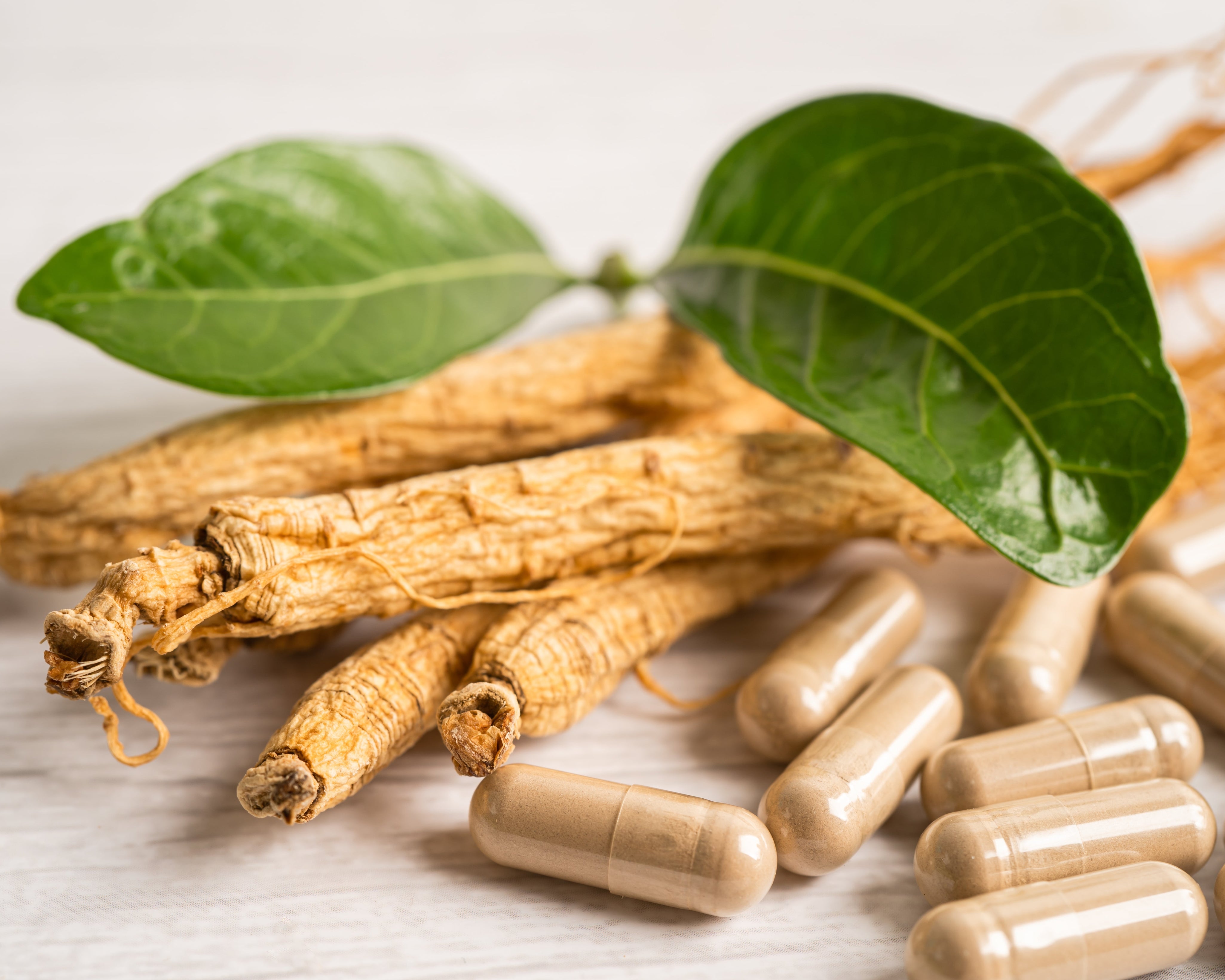 Does Ashwagandha Work for Stress Relief? A Science-Backed Review (2026)