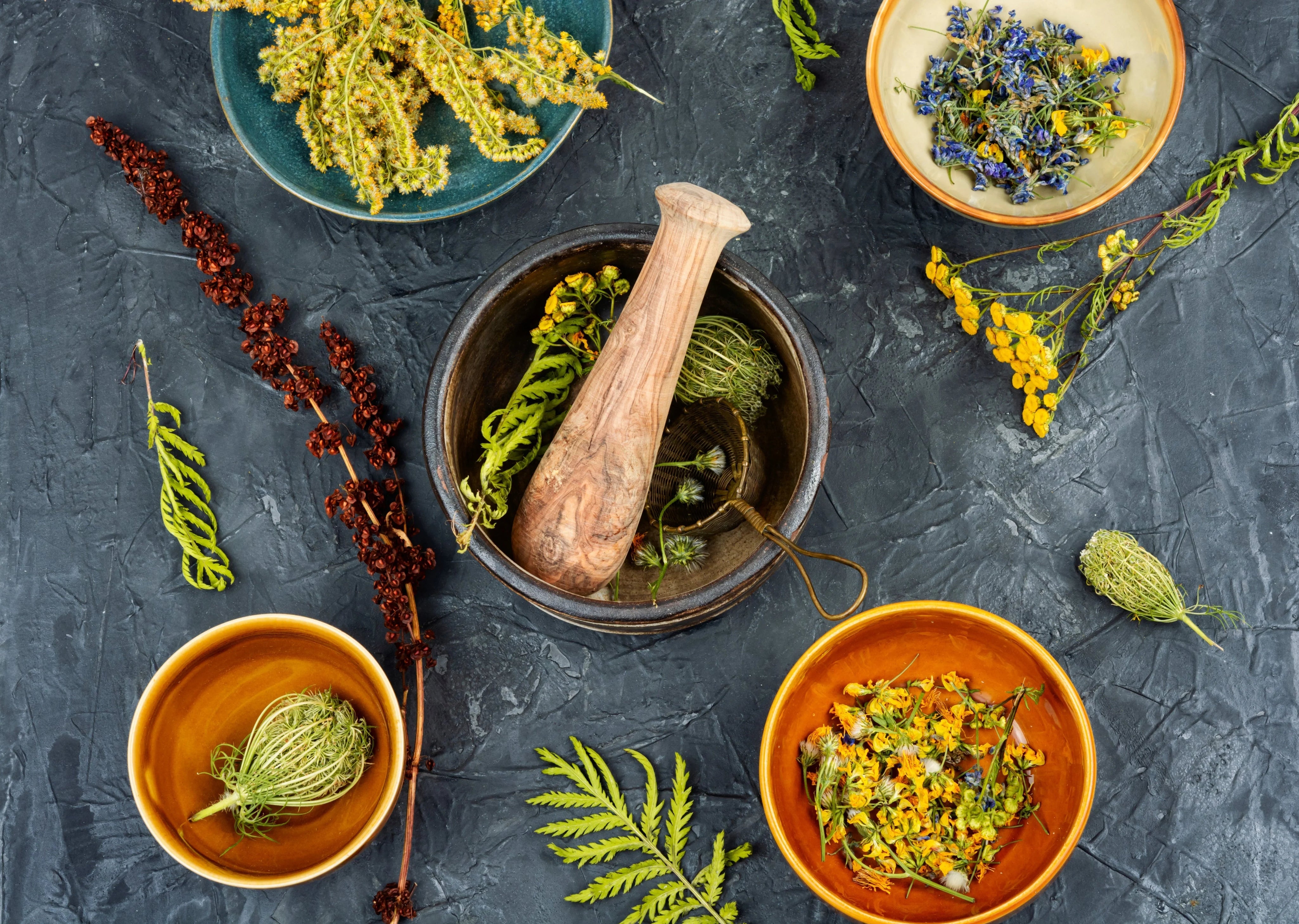 The Power of Pure & Balanced Ingredients: True Wellness