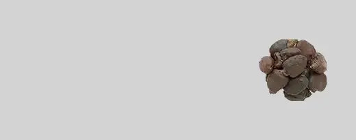Bhallatak_47690d77-72e3-4658-99a6-a90b0c307d16.webp