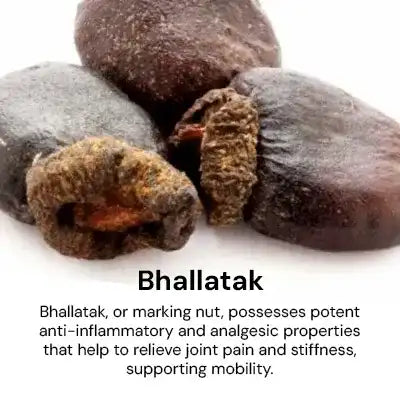 Bhallatak_8685e0f7-28a1-4200-8b76-70a437970631.webp