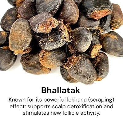 Bhallatak_b6a3e769-3715-4efb-b21f-3816f978757b.webp