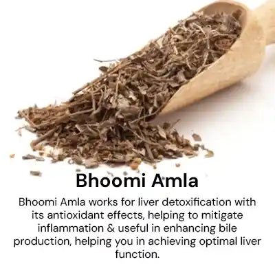 Bhoomi_Amla_1d4fe47f-dff2-4c5f-a15b-10ba1c9beb3c.webp