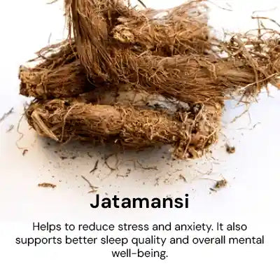 Jatamansi_970a98b0-c1b9-4d3c-8449-e0aa92a59663.webp