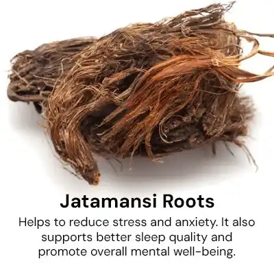 Jatamansi_Roots_d5e0a45e-a6a7-4c27-b0b9-ad93a6a3b917.webp