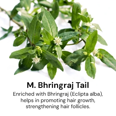 M._Bhringraj_Tail_feb89f22-972a-4fbc-a349-b9f225a8c6cf.webp