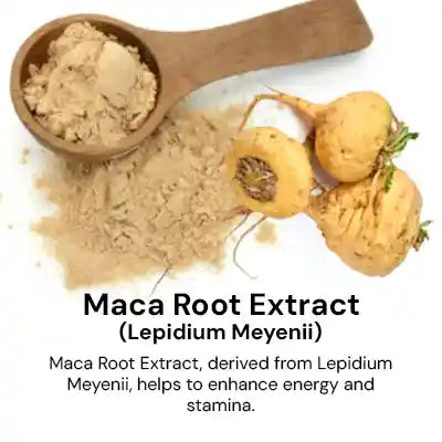 Maca_Root_Extract_4410053f-0ce9-4143-ae67-01977ca2324a.webp