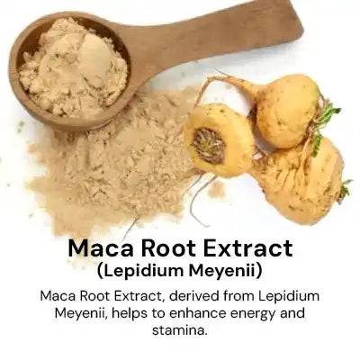 Maca_Root_Extract_5a64715b-b395-4762-a1ba-5933c18d5fd5.webp