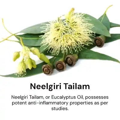 Neelgiri_Tailam.webp