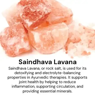 Saindhava_Lavana_2499ed45-ba3b-4f66-933b-d7742742674c.webp