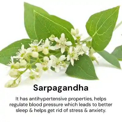 Sarpagandha_149004a0-fc4c-4f54-9ee3-2941009bd22b.webp