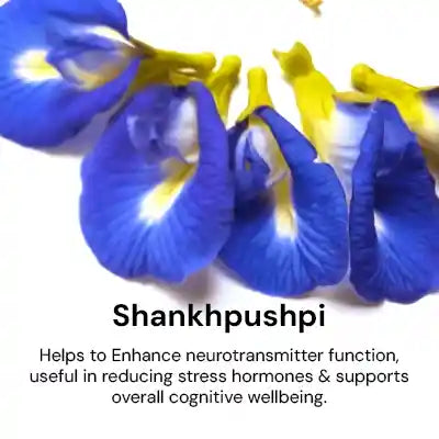 Shankhpushpi.webp