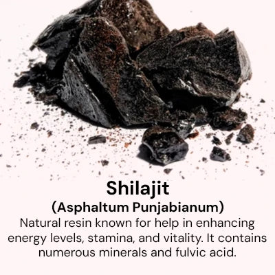 Shilajit.webp