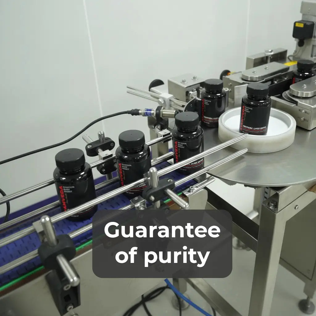 Ayamveda manufacturing facility — WHO-GMP certified production floor where Vitality Mix Gym Edition sachets are made