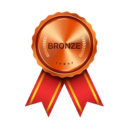 Bronze Tier