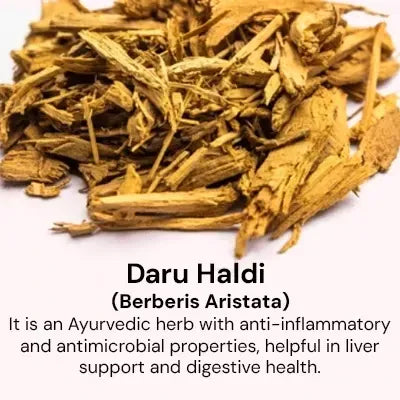 daruhaldi_2bce9ffa-621e-4ca9-8af7-6e5de5fc2f6a.webp