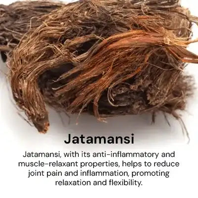 jatamansi.webp