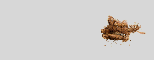 jatamansi_1_17487b77-1016-4d4f-abee-488bad479580.png