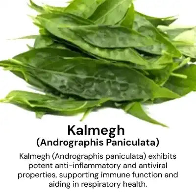 kalmegh_dee695ce-6cf7-4f25-87f0-1d443cb5a97d.webp