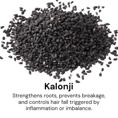 kalonji_001f076a-093a-41b9-a745-a3aa37707f25.webp