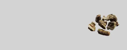 kooth_e5baa752-d47f-4450-9d57-fc5d4a43d29e.webp