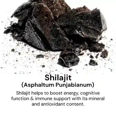shilajit_d9f60748-6df8-4dc7-972e-b7ad8f31545d.webp