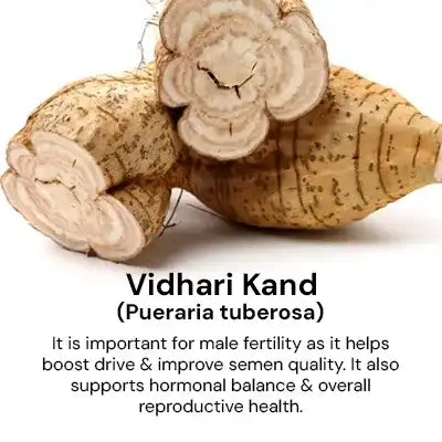 vidhari_kand_212ea977-c691-4201-a664-3825f96f9677.webp